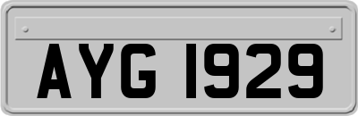 AYG1929