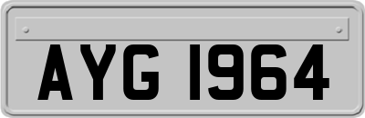 AYG1964