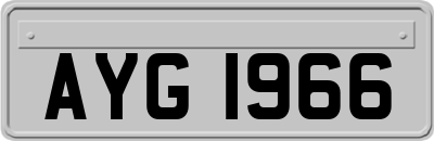 AYG1966