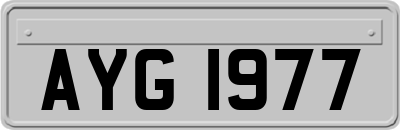 AYG1977