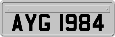 AYG1984