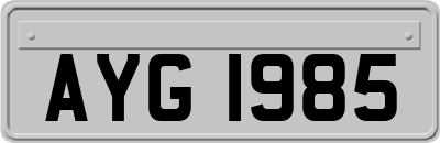 AYG1985