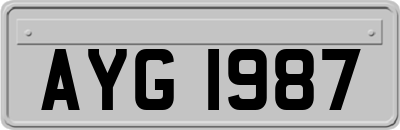 AYG1987