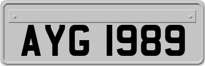 AYG1989