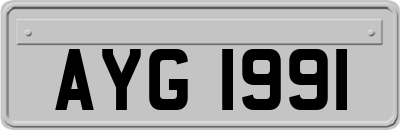 AYG1991