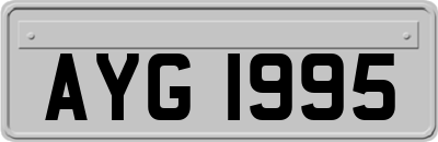 AYG1995