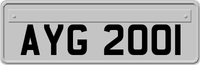 AYG2001