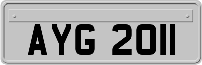 AYG2011