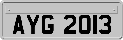 AYG2013