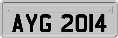 AYG2014