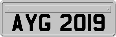 AYG2019