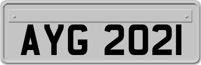 AYG2021