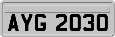 AYG2030