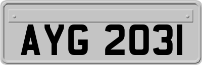 AYG2031