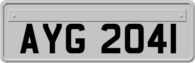 AYG2041