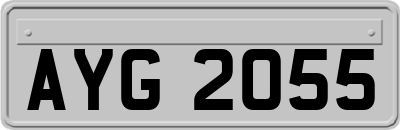 AYG2055