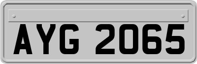 AYG2065