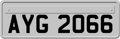 AYG2066