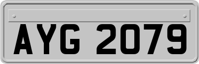 AYG2079