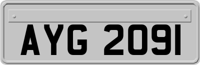 AYG2091