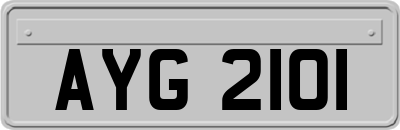 AYG2101