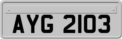 AYG2103