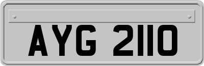 AYG2110