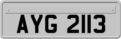 AYG2113