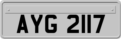 AYG2117