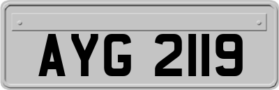 AYG2119