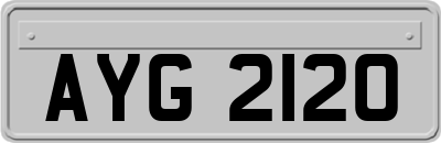 AYG2120