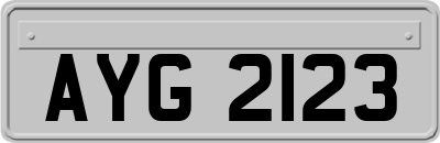AYG2123