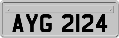 AYG2124