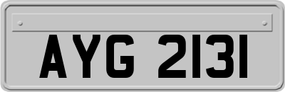AYG2131