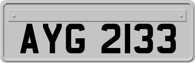 AYG2133