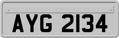 AYG2134