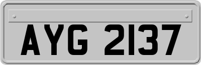 AYG2137