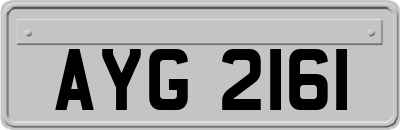 AYG2161