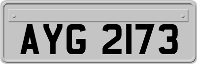 AYG2173