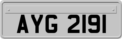 AYG2191