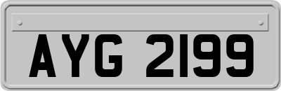AYG2199