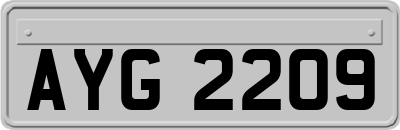 AYG2209