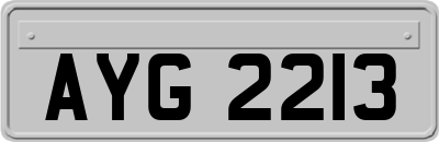 AYG2213