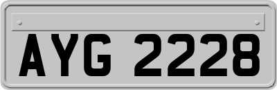 AYG2228