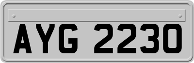 AYG2230