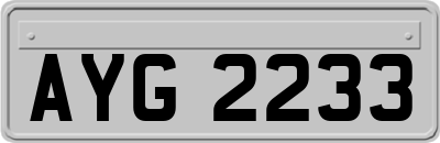 AYG2233