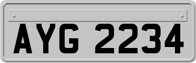 AYG2234