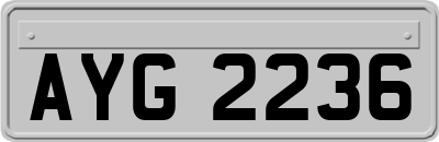 AYG2236