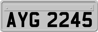 AYG2245