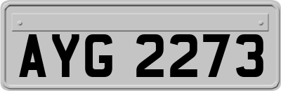 AYG2273